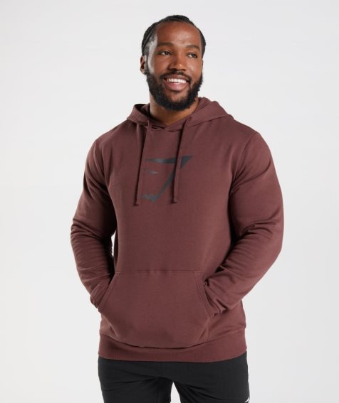 Men's Gymshark Sharkhead Infill Hoodie Brown | NZ 3UJISC